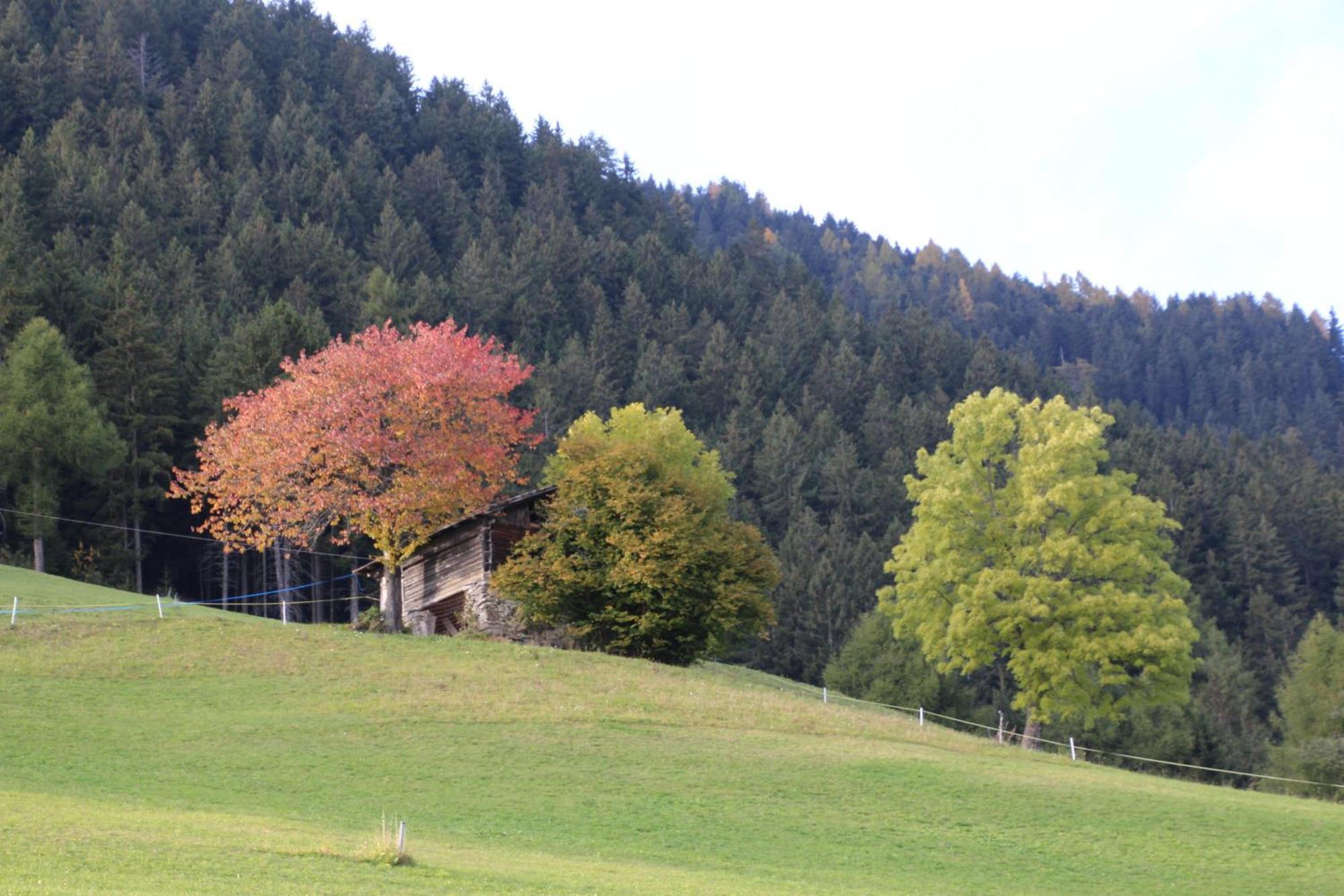 Gasthof Walde Ріф'яно Екстер'єр фото